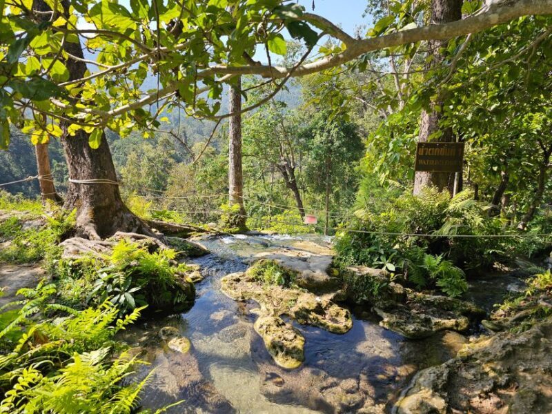 Chiang Mai: Sticky Waterfall Half-Day Tour & Hotel Transfers - An Honest Look at the Sticky Waterfalls Tour
