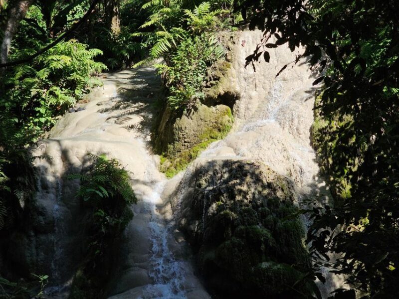 Chiang Mai: Sticky Waterfall Half-Day Tour & Hotel Transfers - Who Will Enjoy This Tour?