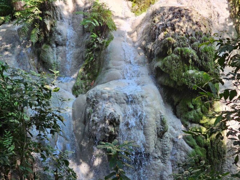 Chiang Mai: Sticky Waterfall Half-Day Tour & Hotel Transfers - The Sum Up: Is This Tour Worth It?