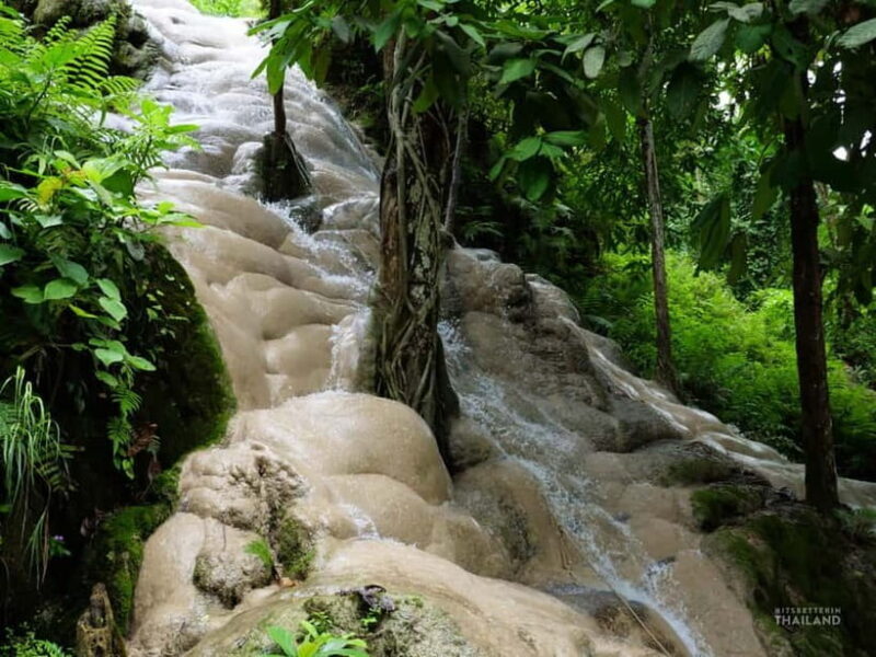Chiang Mai: Sticky Waterfall Half day tour - Discovering the Sticky Waterfall: The Climb and the Environment