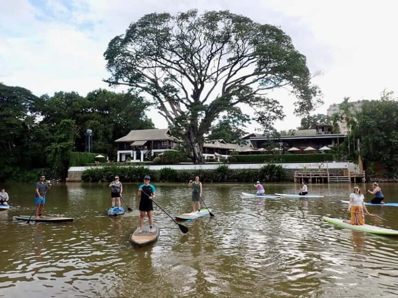Chiang Mai: SUP Paddleboarding on the Ping River - Key Points