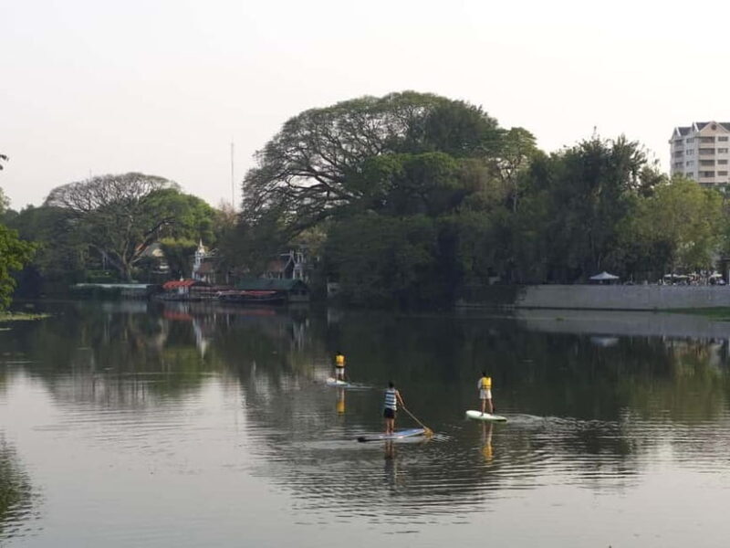 Chiang Mai: SUP Paddleboarding on the Ping River - Who Should Consider This Tour?