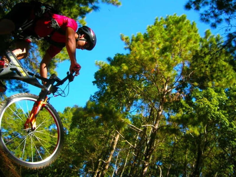 Chiang Mai: Suthep National Park Hiking & DH Mountain Biking - Key Points