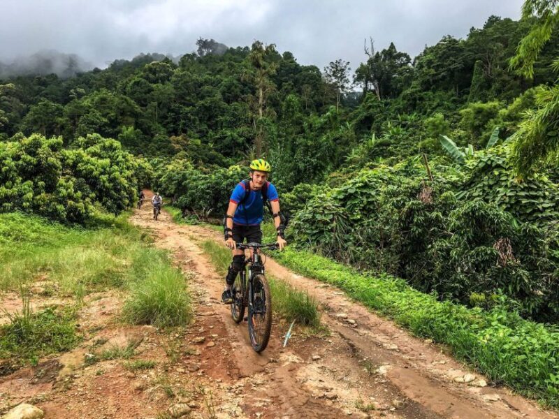 Chiang Mai: Suthep National Park Hiking & DH Mountain Biking - An Authentic Day in Chiang Mai’s Mountain Wilderness