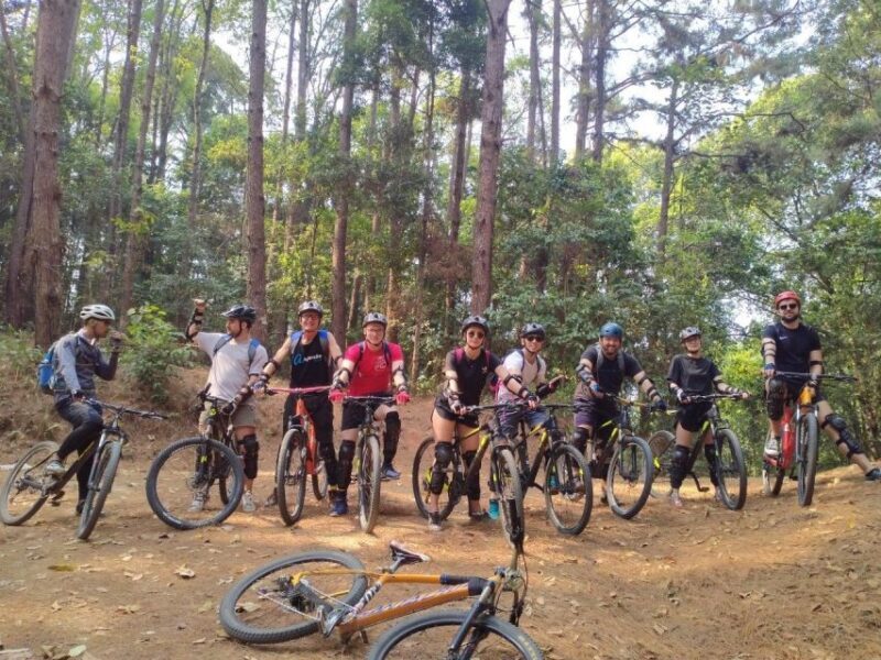 Chiang Mai: Suthep National Park Hiking & DH Mountain Biking - Who Should Consider This Tour?