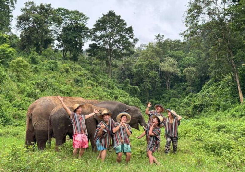 Chiang Mai | TeeTee Elephant Home Elephant Care Half-Day - An Honest Look at the Experience