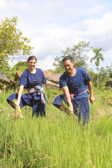 Chiang Mai: Thai Buffalo and Rice Planting Experience - A Closer Look at the Experience