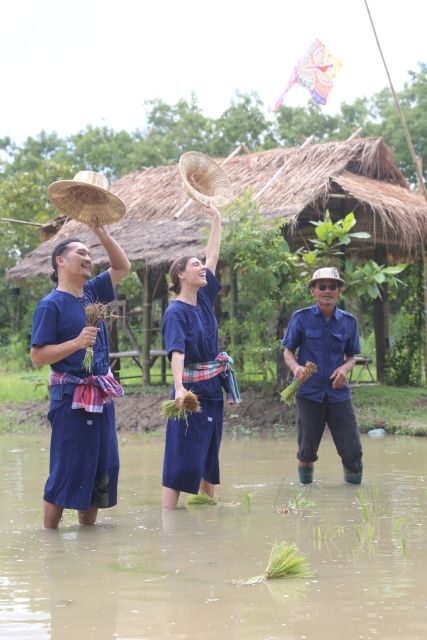 Chiang Mai: Thai Buffalo and Rice Planting Experience - FAQs