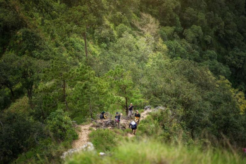Chiang Mai : Thep Sadet & Coffee Plantation Full Day Hiking - The Sum Up