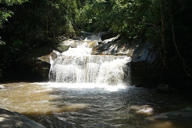 Chiang Mai Trekking Tour :Full day (no rafting) - Key Points