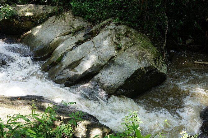 Chiang Mai Trekking Tour :Full day (no rafting) - Summary of What Travelers Are Saying