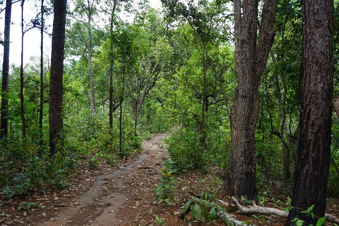 Chiang Mai Trekking Tour :Full day (no rafting) - Frequently Asked Questions