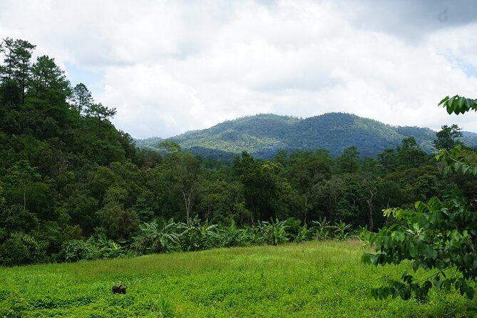 Chiang Mai Trekking Tour :Full day (no rafting) - Final Thoughts