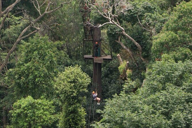 Chiang Mai Zip Line Experience - What Some Travelers Say