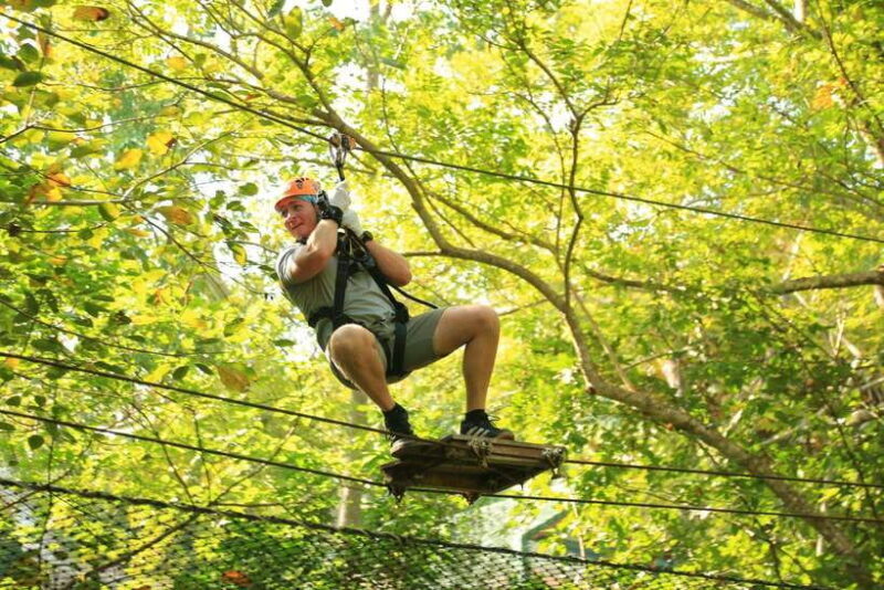 Chiang Mai: Zipline & High Rope Park with Lunch & Transfer - Why This Tour Matters for Travelers