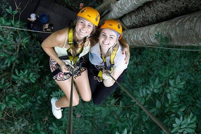 Chiang Mai Zipline White Water Rafting and Elephant Sanctuary - Experience Breakdown and Insights