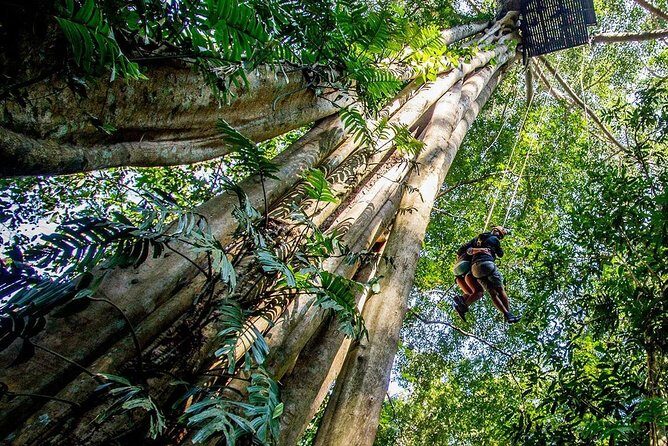 Chiang Mai Zipline White Water Rafting and Elephant Sanctuary - The Sum Up