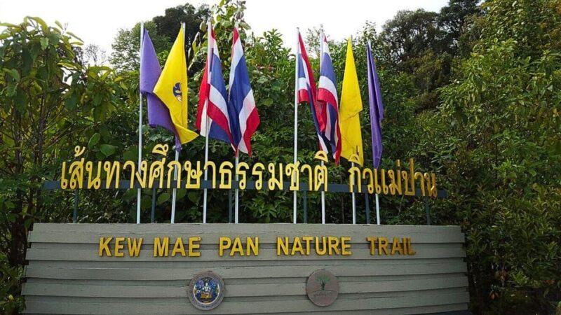 Chiang Mai:Doi Inthanon National Park & Hike at Kew Mae Pan - Who Will Love This Tour?