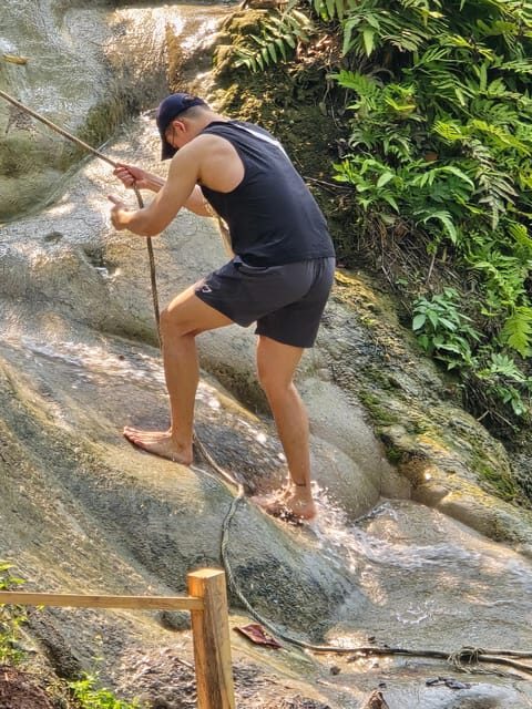 Chiang Mai:Sticky Watefall private tour with lunch - Key Points