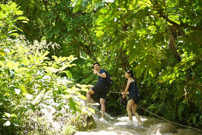 Chiang Mai:Sticky Waterfall Adventure and Bua Tong Huge Cave Tour - Practical Tips