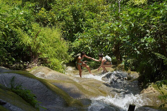 Chiang Mai:Sticky Waterfall Adventure and Bua Tong Huge Cave Tour - FAQ