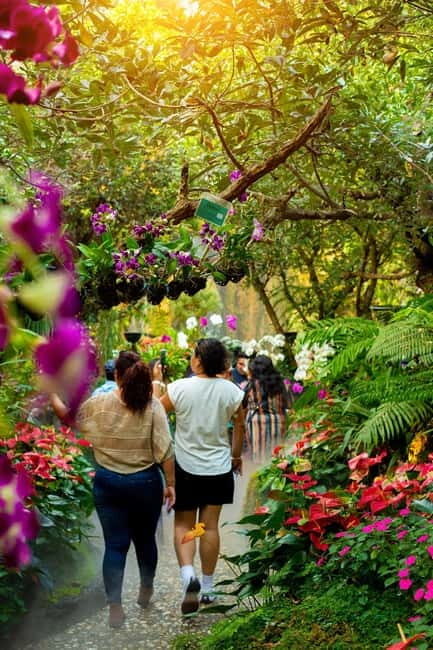 Chiang Rai: 3 Temples, Long Neck Village & Lalitta Café - An In-Depth Look at the Itinerary