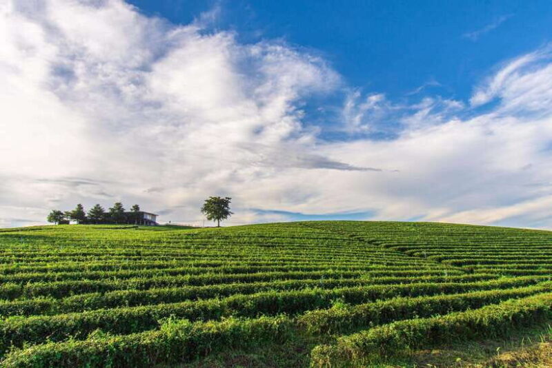 Chiang Rai: 7-Stop Tour with English Guide & Thai Buffet - Making the Most of Your Day