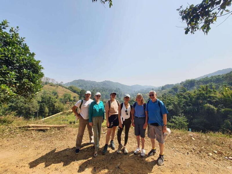 Chiang Rai Jungle Trek & Bamboo Tube Cooking Adventure - Key Points