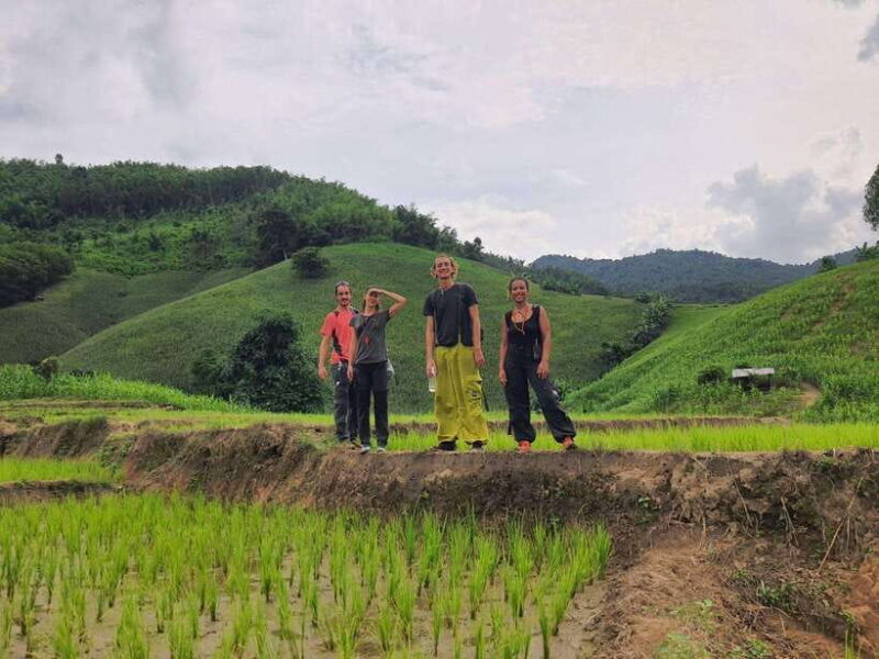 Chiang Rai Jungle Trek & Bamboo Tube Cooking Adventure - Waterfalls and Hot Springs: Nature’s Spa