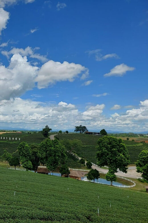 Chiang Rai: Top Temples & Signature Attractions ~Free Buffet - FAQs