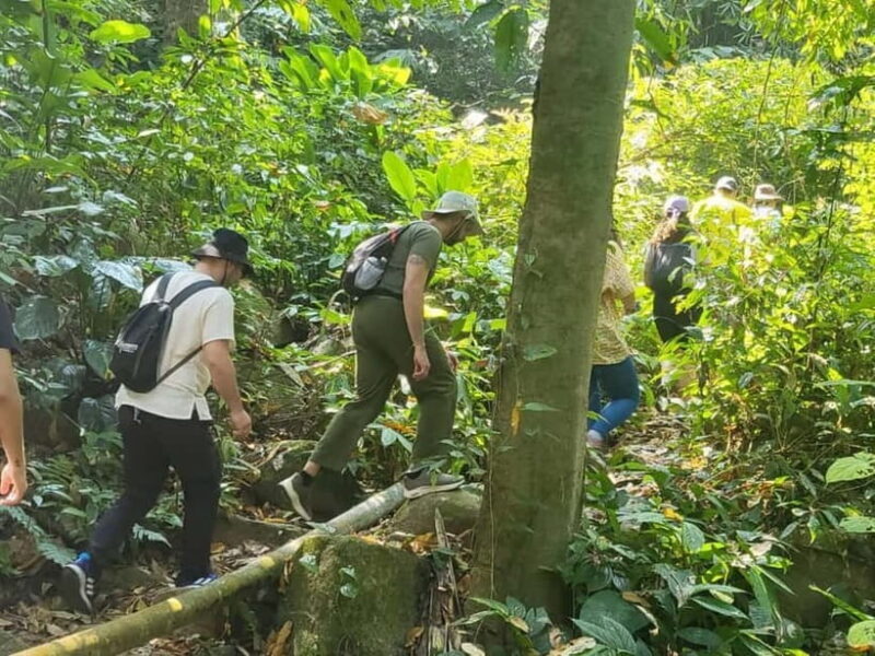 Chiang Rai: Trekking, Bamboo Cooking, and Hot Springs Tour - Why This Tour Offers Good Value
