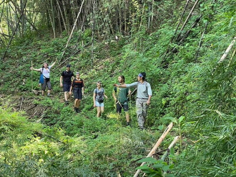 Chiang Rai: Trekking, Bamboo Cooking, and Hot Springs Tour - The Sum Up: Is It Worth It?