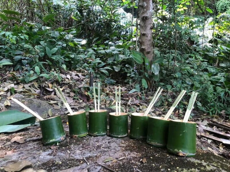 Chiang Rai: Trekking, Bamboo Cooking, and Hot Springs Tour - FAQ