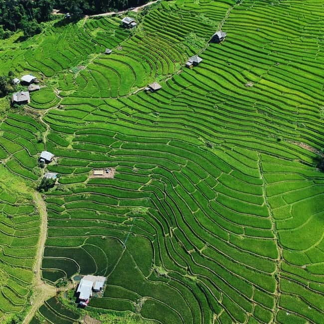 Chiangmai : Doi Inthanon unseen spot , Rice terrace & temple - What Travelers Are Saying