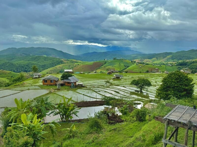Chiangmai : Doi Inthanon unseen spot , Rice terrace & temple - The Sum Up: Is This Tour Right for You?