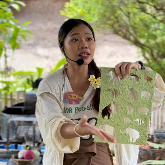 ChiangMai Elephant POOPOOPAPER Park Optional StickyWaterfall - What to Expect from the Elephant POOPOOPAPER Park Experience