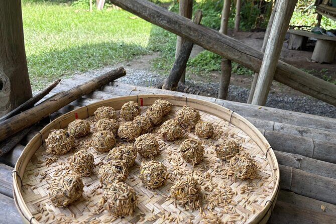 Chiangmai Half Day Visit and Wildlife Experience - Final Thoughts