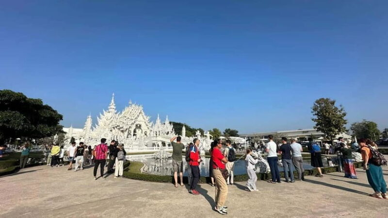 Chiangrai Full day: Popular 7 Locations with Thai buffet - The Tea Plantation: Thailand’s Largest