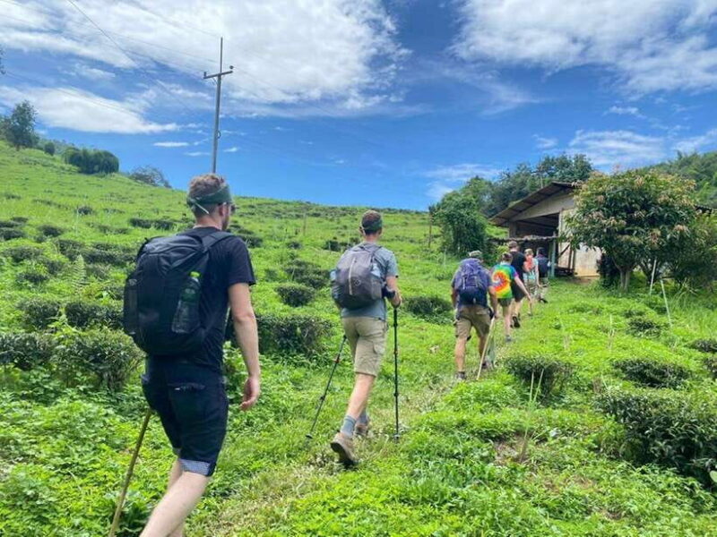 Chiangrai: Group Trekking with Bamboo Cooking - Key Points