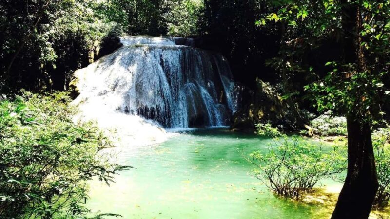 Chiapas: 4-Day Highlight Tour - The Practical Side: Logistics, Value, and Experience