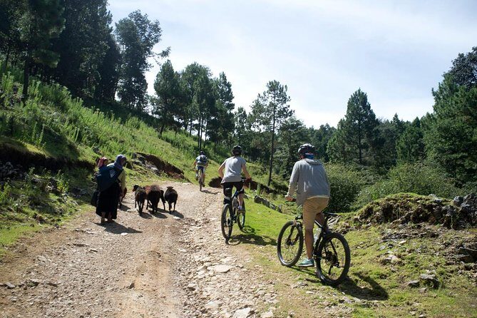 Chiapas Indigenous Villages and Mountain Bike Tour - Who Should Consider This Tour?