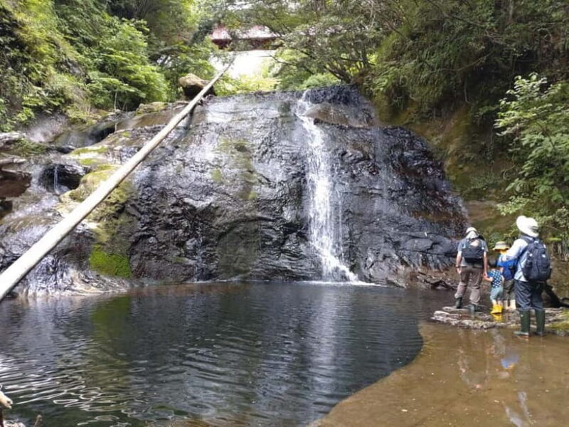 Chiba: Okuboso Nature Tour with Local Guide - Exploring the Scenic Spots of Okuboso