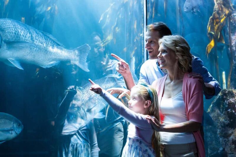 Chicago: 1-5 Day Attraction Pass with Shedd Aquarium - Discover Chicago with the 1-5 Day Attraction Pass: A Practical Guide