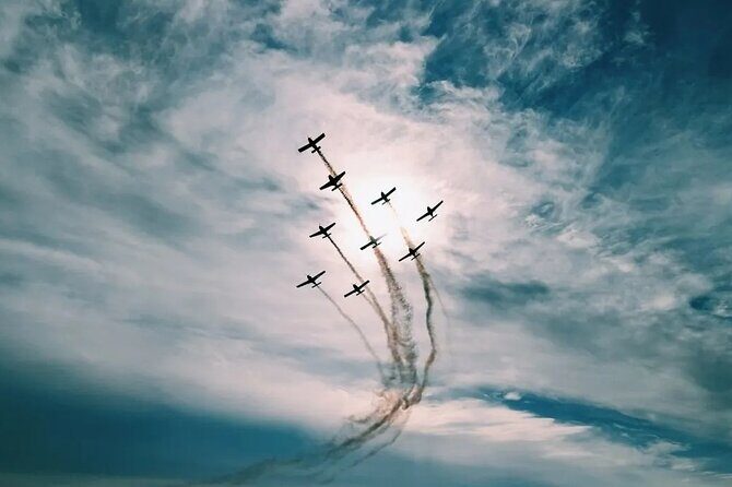 Chicago Air & Water Show - Authentic Perspectives from Reviewers