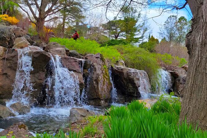 Chicago City's Iconic Sights and Suburb Gems Tour - Who Will Love This Tour?