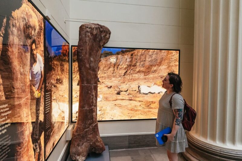 Chicago: Field Museum of Natural History Ticket or VIP Tour - The Ideal Visitor