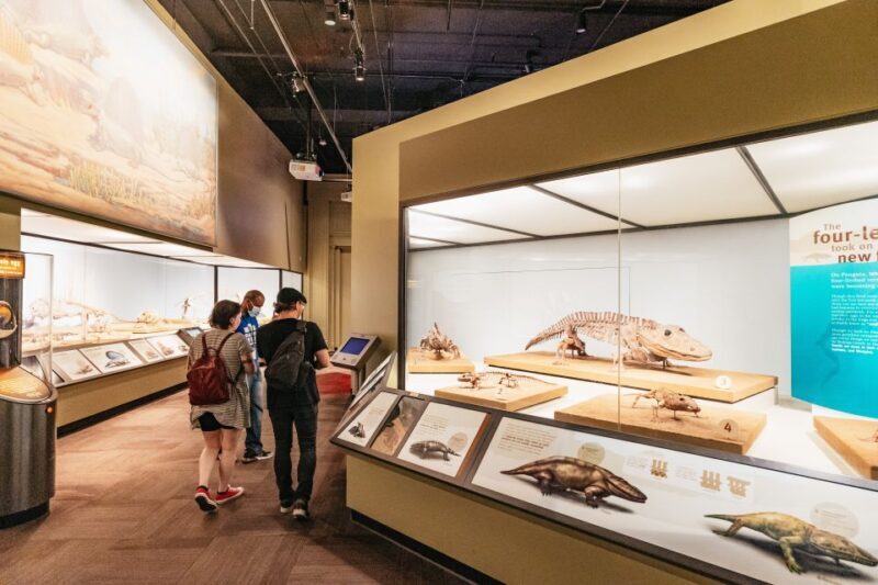 Chicago: Field Museum of Natural History Ticket or VIP Tour - Final Thoughts