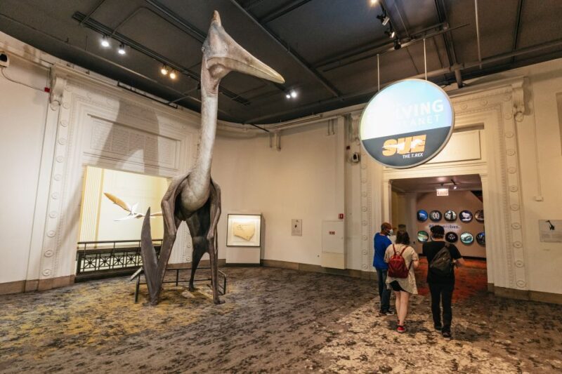 Chicago: Field Museum of Natural History Ticket or VIP Tour - FAQ