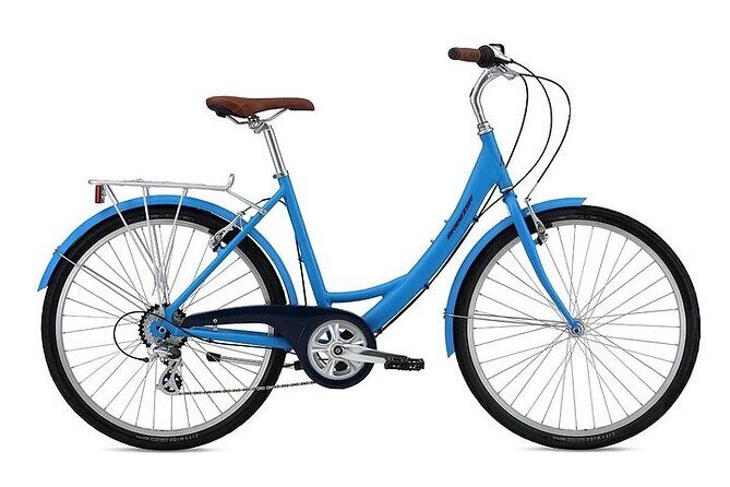 Chicago Half-Day Bike Rental - What to Expect from Your Bike Rental Experience