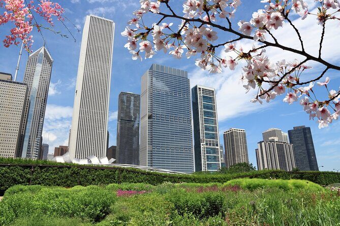Chicago Millennium Park Self-Guided Walking Tour - An In-Depth Look at the Tour Experience